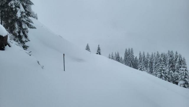 20251126_143137.jpg