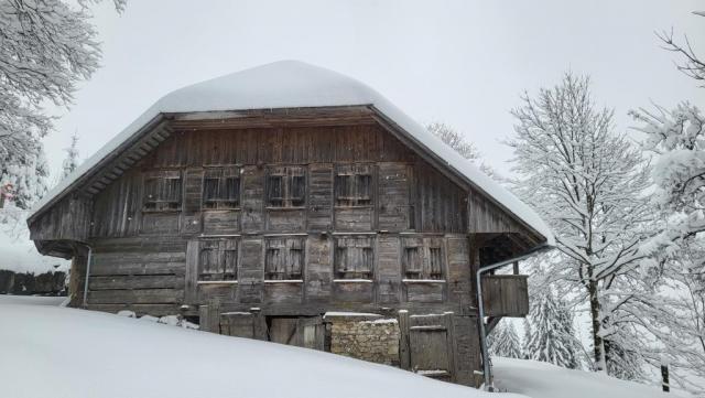 20251126_143933.jpg