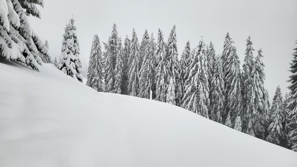 20251126_144601.jpg