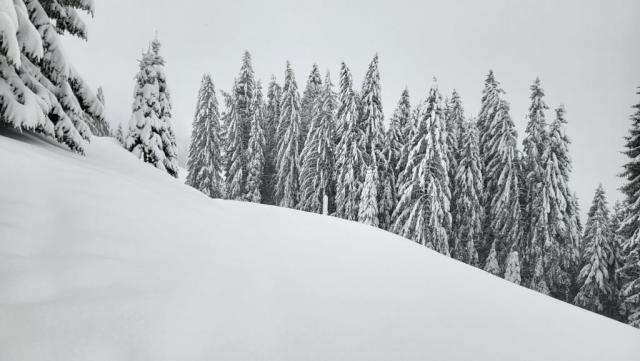 20251126_144601.jpg