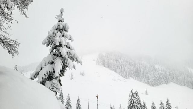 20251126_145051.jpg