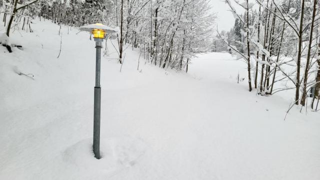 20251126_155645.jpg
