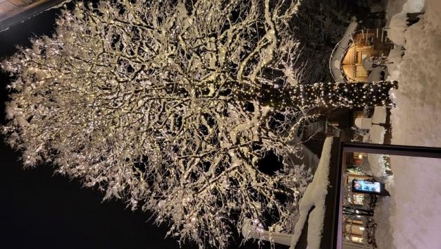 20251126_180617.jpg