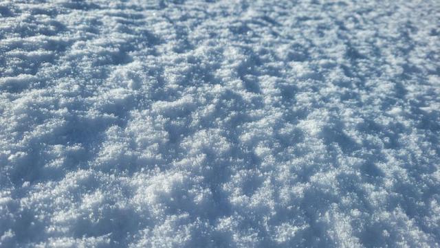 20251127_104840.jpg