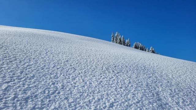 20251127_104845.jpg