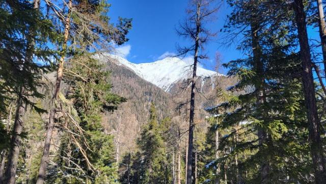 20260202_123738.jpg