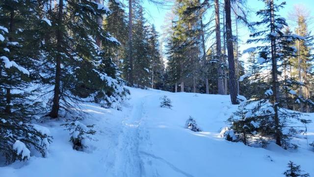 20260202_131011.jpg