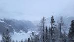 20260203_074526.jpg