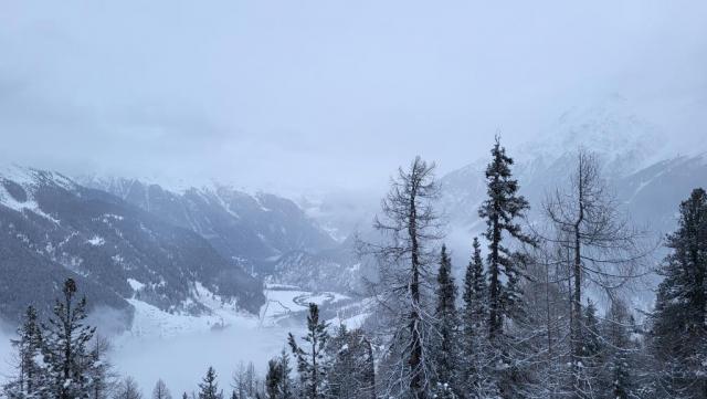 20260203_074526.jpg