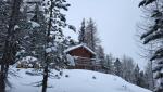 20260203_074810.jpg