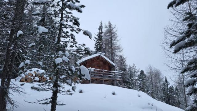 20260203_074810.jpg