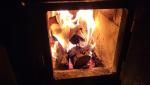 20260203_075826.jpg
