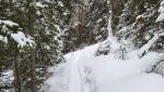 20260204_085224.jpg