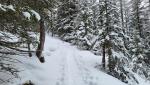 20260204_163642.jpg