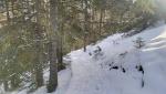 20260207_092603.jpg