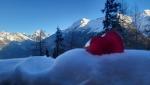 20260208_083533.jpg