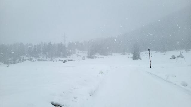 20260212_152129.jpg