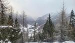 20260215_075813.jpg