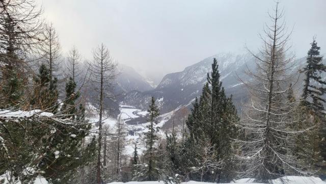 20260215_075813.jpg
