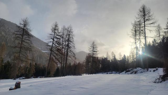 20260215_083049.jpg