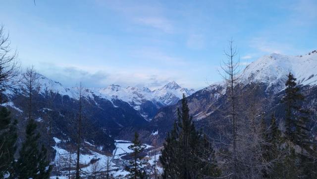20260215_174150.jpg