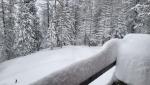 20260216_075024.jpg
