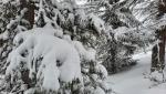 20260216_080941.jpg