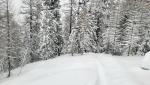 20260216_092112.jpg