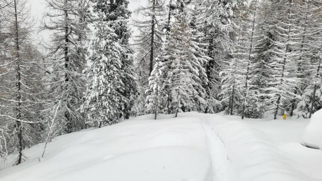 20260216_092112.jpg