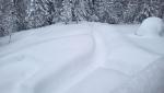 20260217_073158.jpg