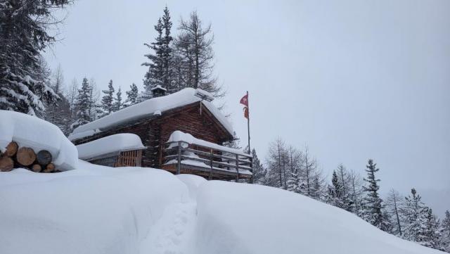 20260217_073305.jpg