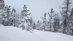 20260217_073858.jpg