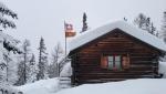 20260217_074006.jpg