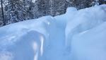 20260218_103759.jpg