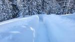 20260218_103817.jpg