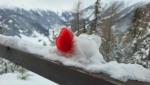 20260218_145804.jpg