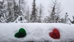 20260219_073746.jpg