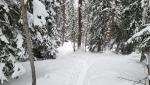 20260219_074638.jpg