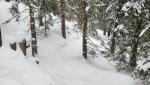 20260219_080247.jpg