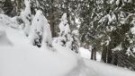 20260219_080343.jpg