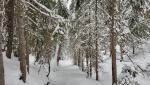 20260219_083348.jpg