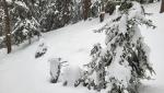 20260219_083524.jpg