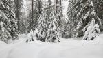20260219_083637.jpg