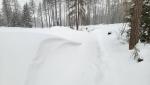 20260219_083946.jpg
