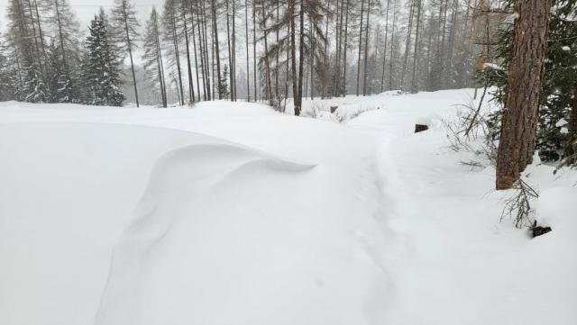 20260219_083946.jpg