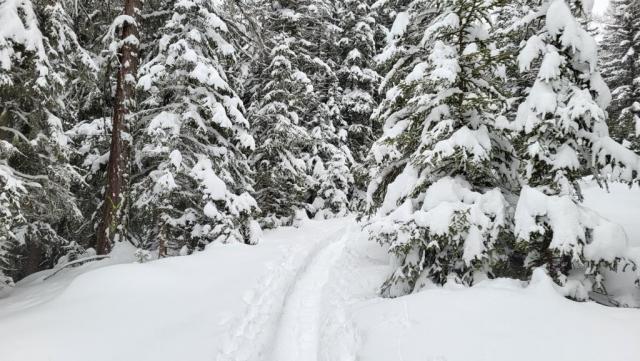 20260219_144616.jpg