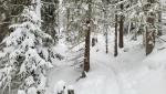 20260219_150237.jpg