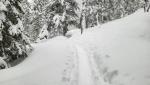20260221_130939.jpg