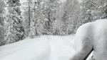20260221_160736.jpg