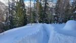 20260223_114729.jpg
